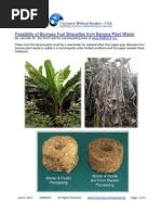 Feasibility Biomass Fuel Briquettes From Banana Plant Waste