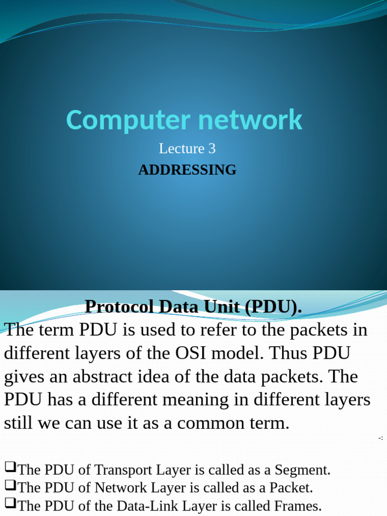 Network 3 | PDF