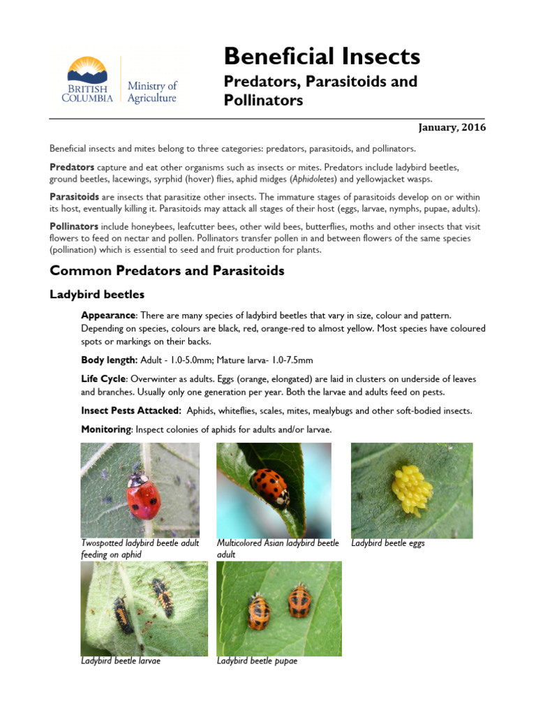 Beneficial Insects | PDF