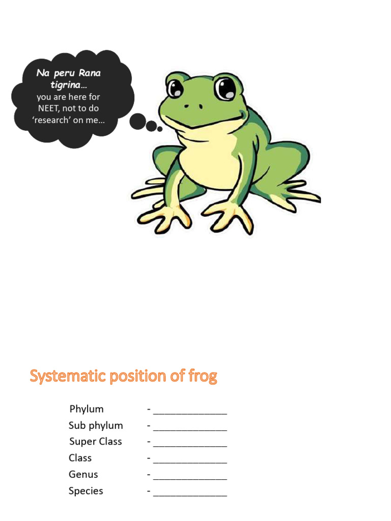 Frog PDF | PDF