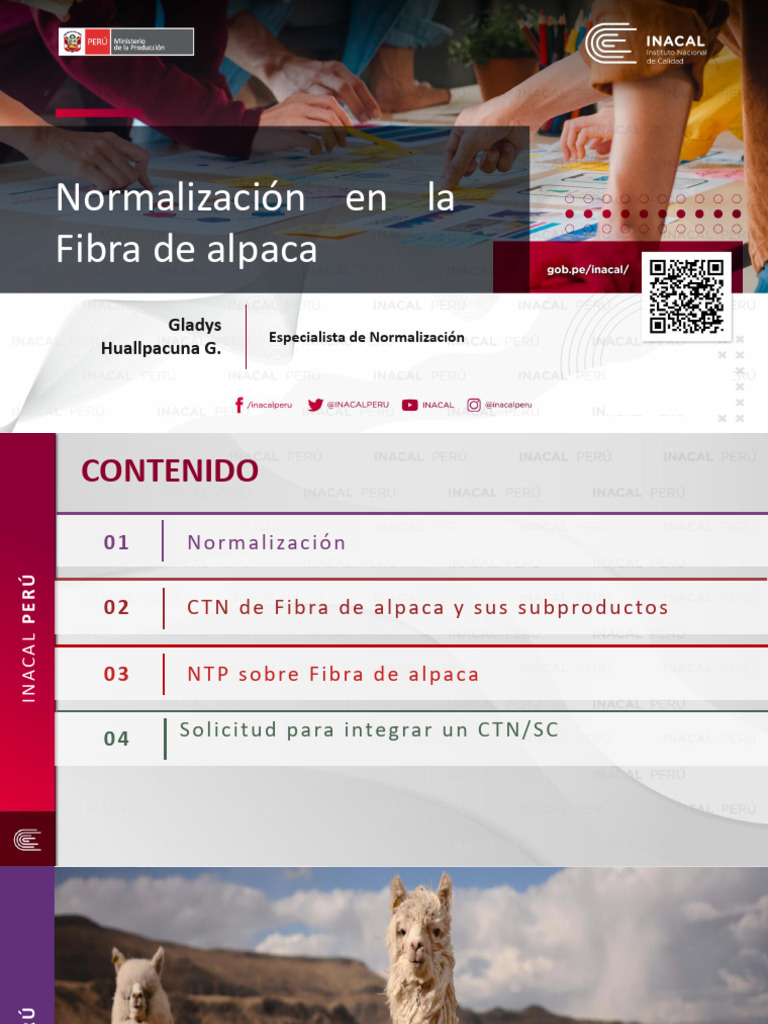 5 Normalizacion para Fibra de Alpaca | PDF