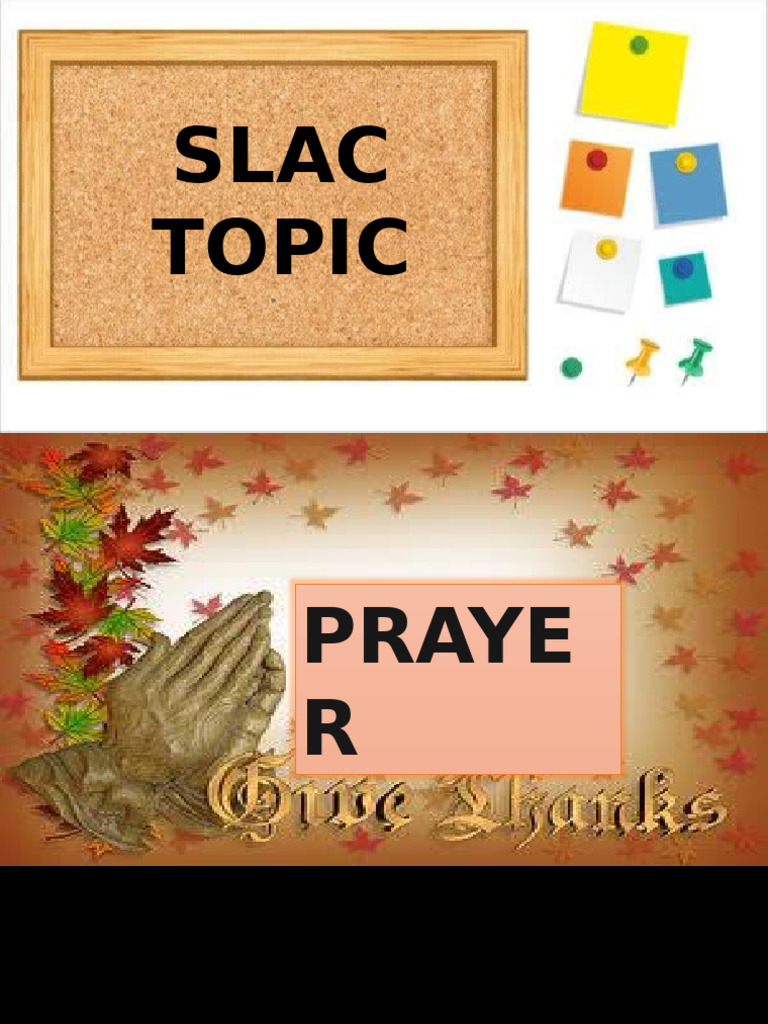 SLAC Effective Classroom MLS Fnns | PDF