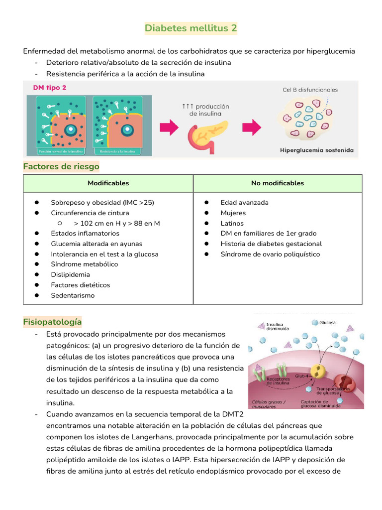 Diabetes Mellitus 2 | PDF