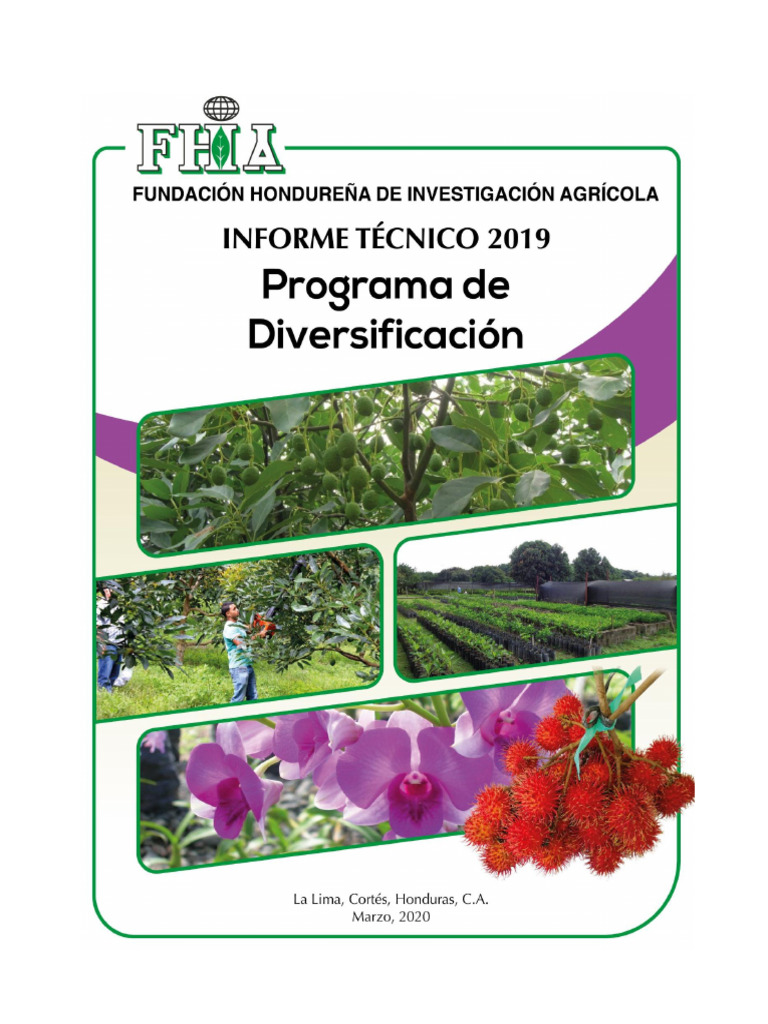 Inf2019