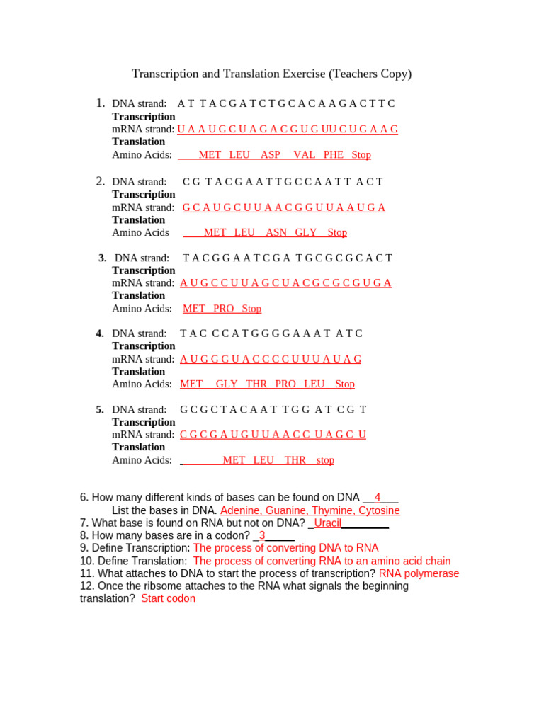 transcription-and-translation-exercise-pdf