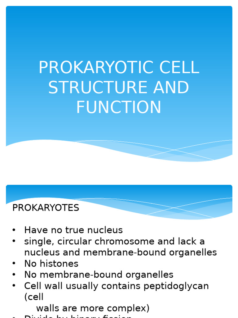 Prokaryotic Cell Structure & Function | PDF | Prokaryote | Cell (Biology)