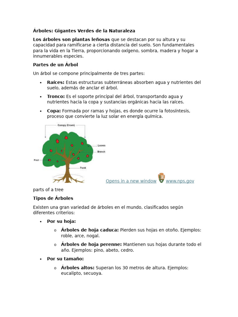 Apunte 5 Pdf