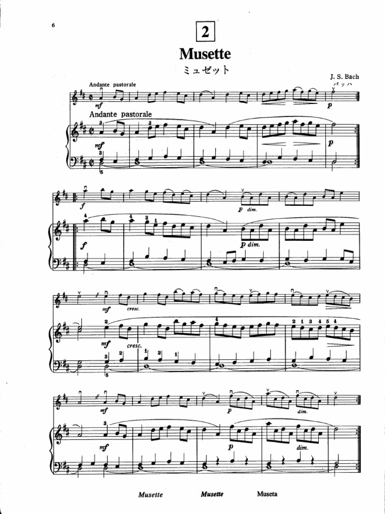 Musette Suzuki 1 Violín | PDF