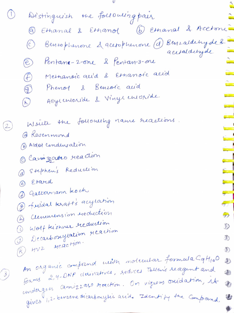 Holidays Homework Pdf