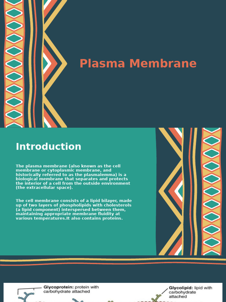FUNCTIONS OF PLASMA MEMBRANE PDF visual data 3
