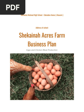 Poultry Farming Business Plan_Shekainah