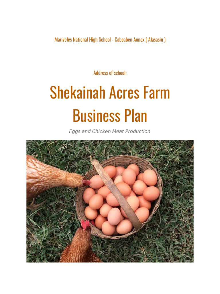 POULTRY FARMING BUSINESS PLAN TEMPLATE PDF visual data 5