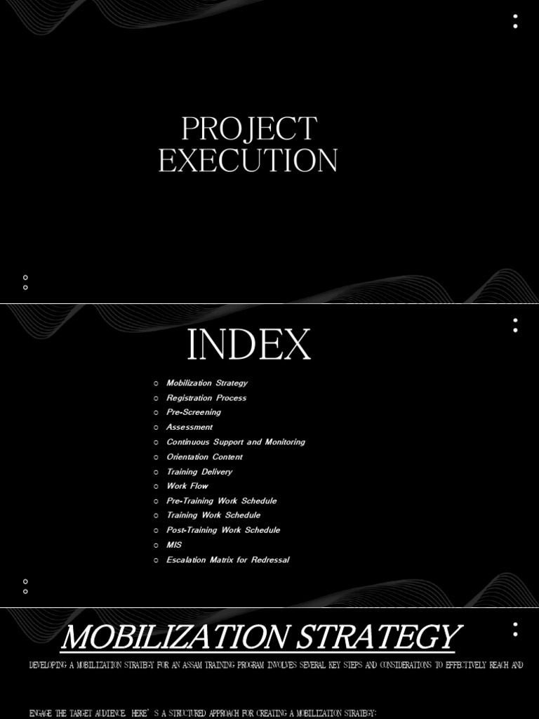 Project Execution PDF | PDF