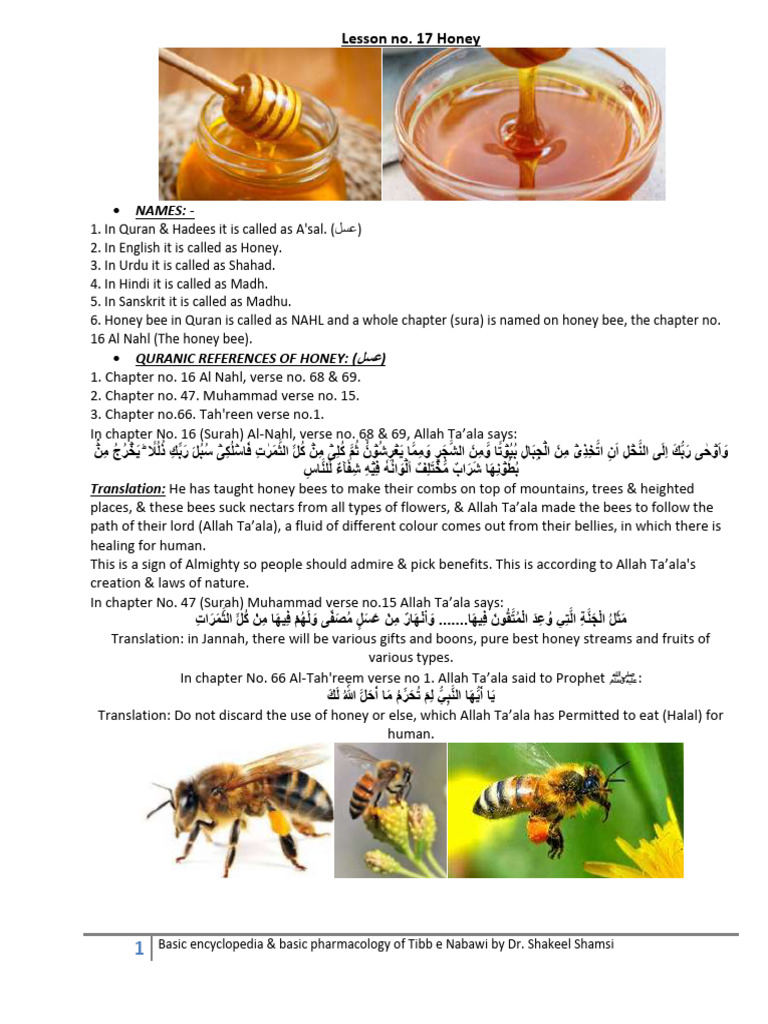 Honey in Tibb e Nabawi: Benefits & Uses | PDF | Fructose | Honey Bee