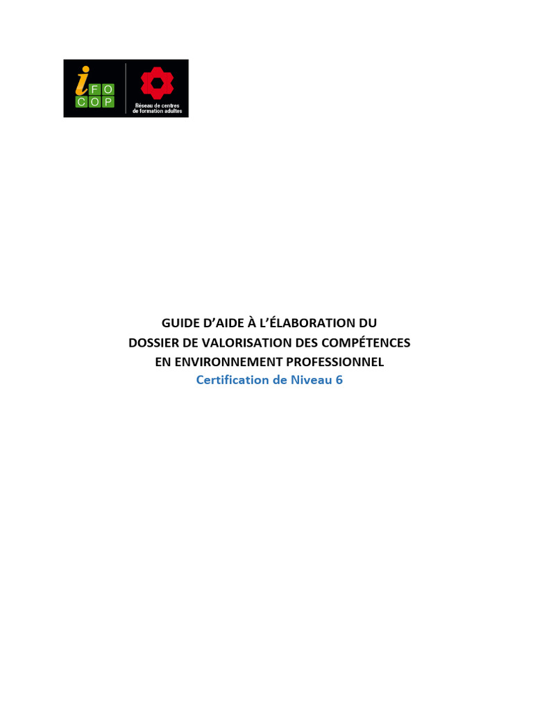 2-1-guide-elaboration-dvc-niveau-6-pdf