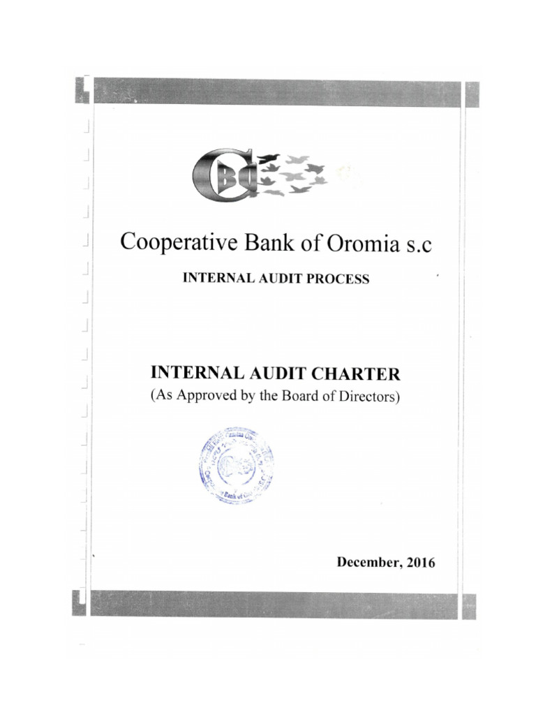 Internal Audit Charter Pdf