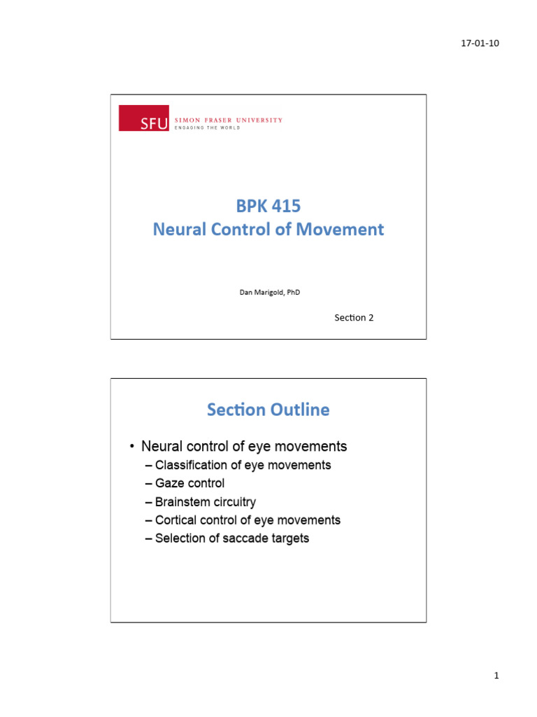 Lecture 4 - Eye Movements | PDF | Human Anatomy | Vision