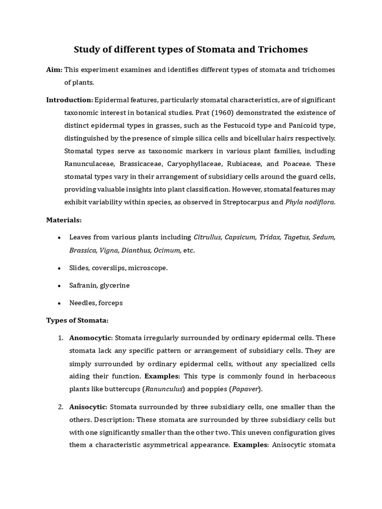 To Study Different Types of Stomata Ans Trichomes | PDF
