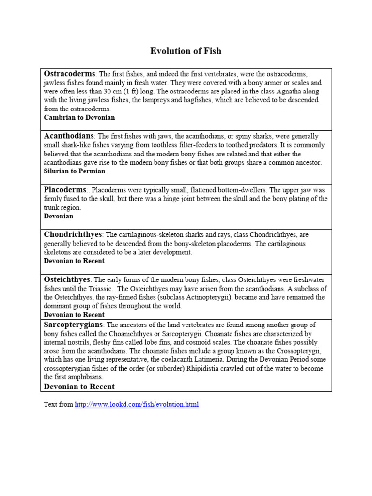 Evolution of Early Fish Groups | PDF