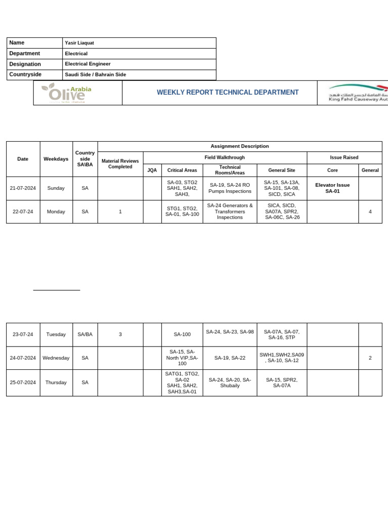 Electrical Engineers Weekly Report | PDF