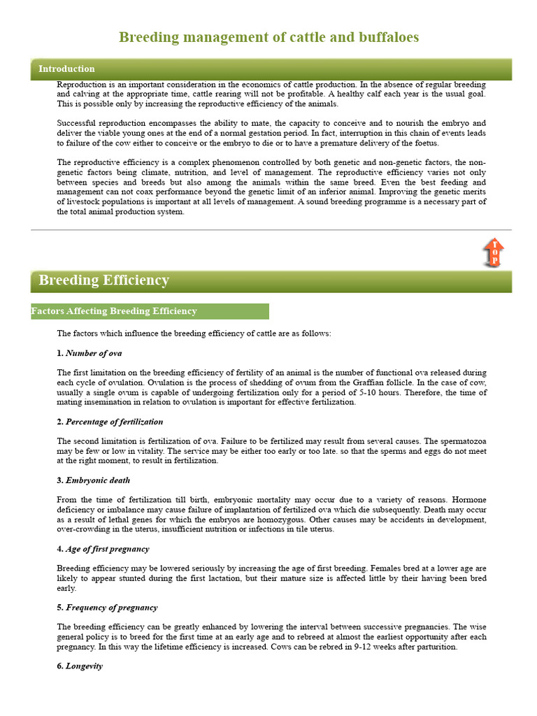 Breeding Management of Cattle and Buffaloes | PDF