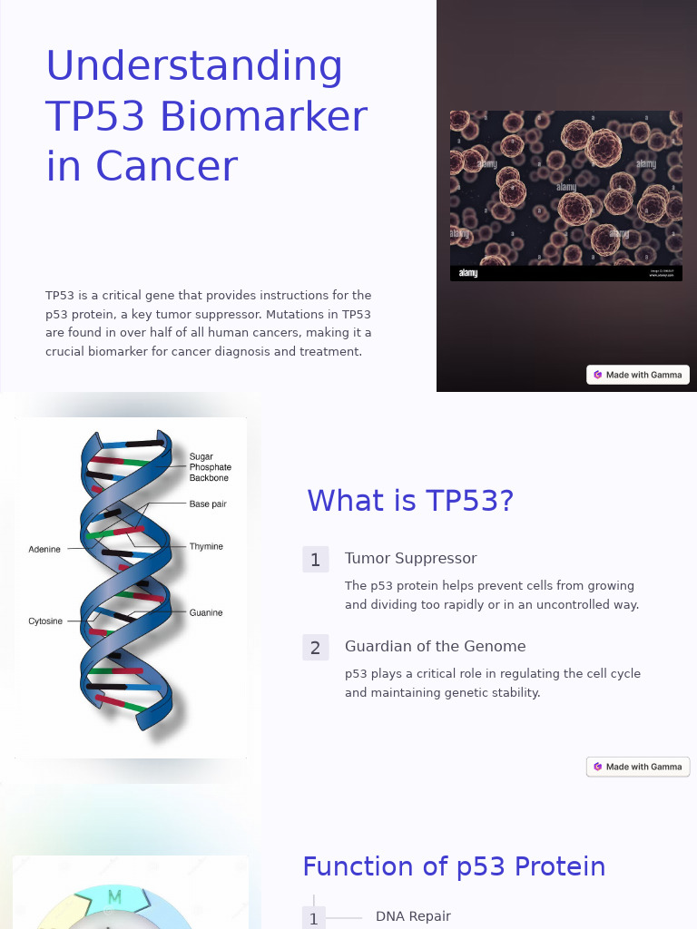 Understanding TP53 Biomarker in Cancer | PDF