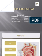 Sistem Digestiva