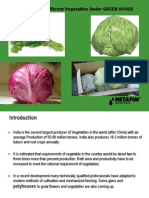 Vegetable Production Model