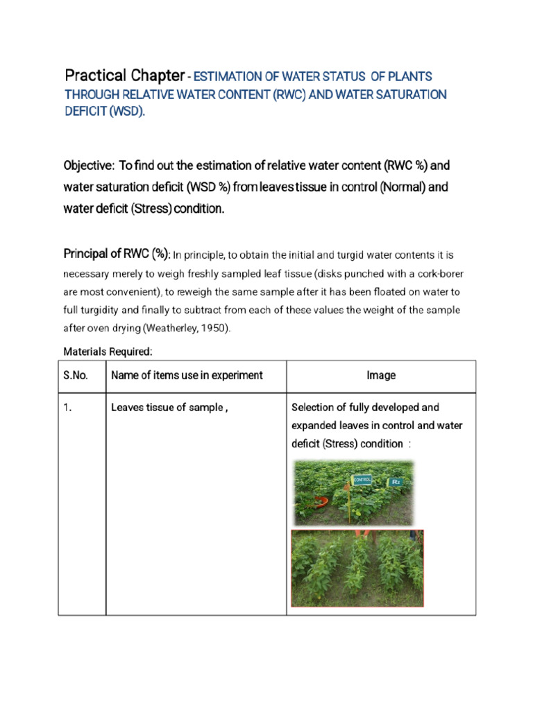 RWC Practical | PDF