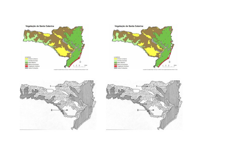 Mapa Da Vegetação de SC | PDF