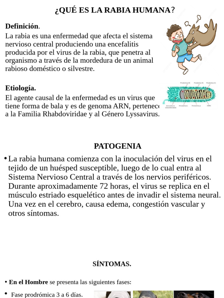 Rabia Canina | PDF