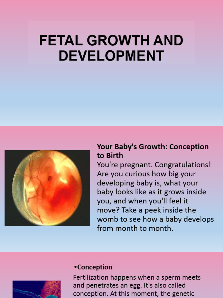 What Affects Fetal Growth