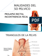 12 A Normal Ida Des DEL PISO PELVICO - Prolapso Rectal e Cia Fecal - Zoraida L.