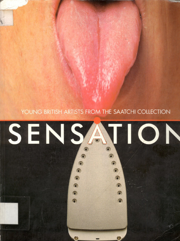 Sensation - Young British Artists From The Saatchi Collection | PDF