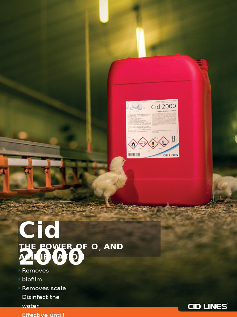 Cid 2000 en | PDF