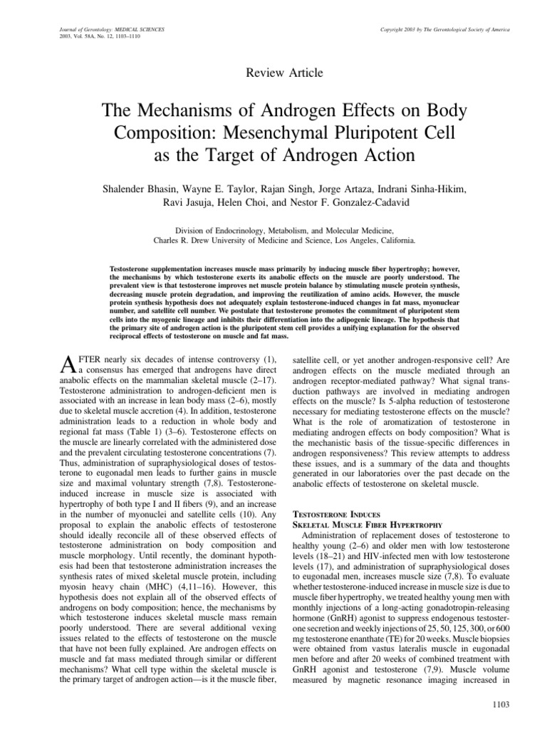 bhasin-2003-the-mechanisms-of-androgen-effects-on-body-composition