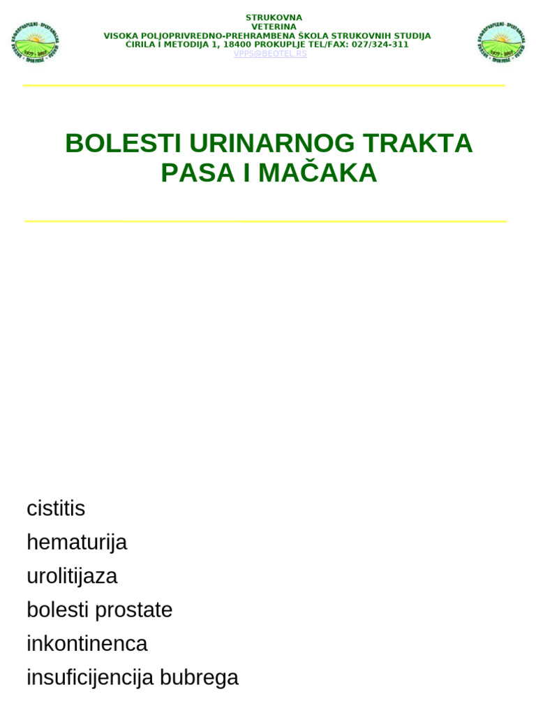 Bolesti Urinarnog Trakta | PDF