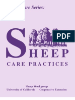 Sheep Care Practices