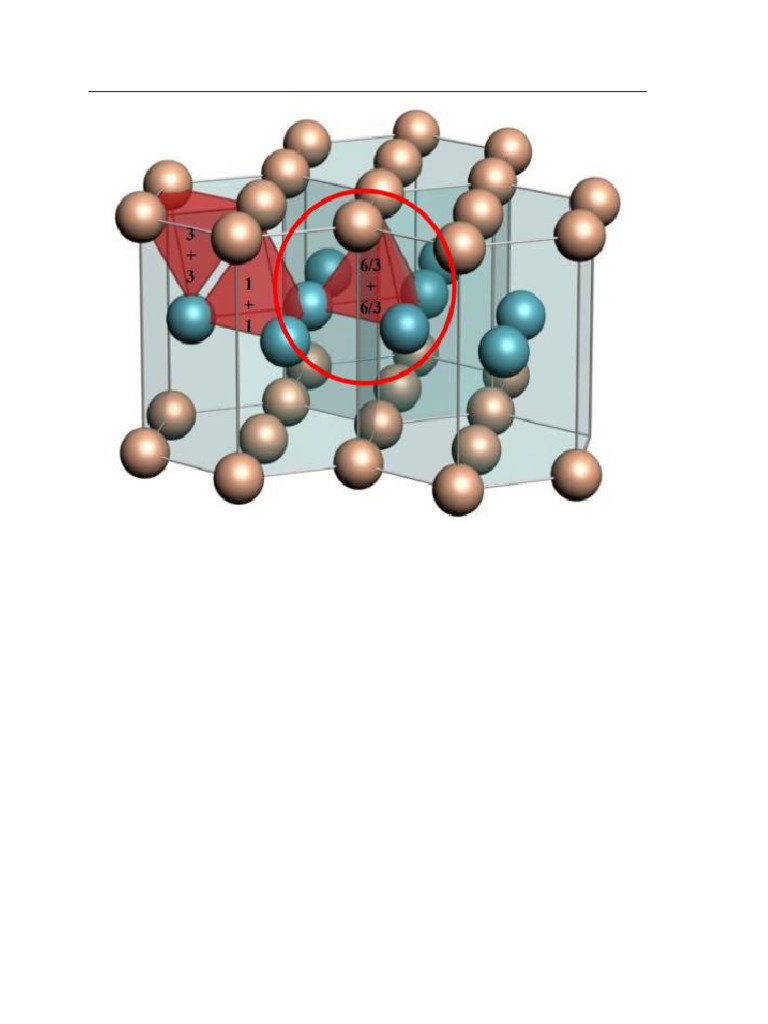 HCP | PDF