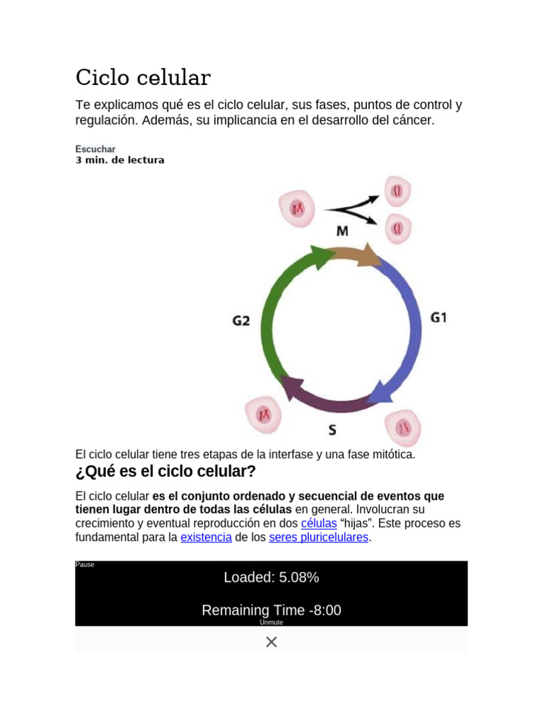 Ciclo Celular | PDF | Metabolismo | Ciclo de célula