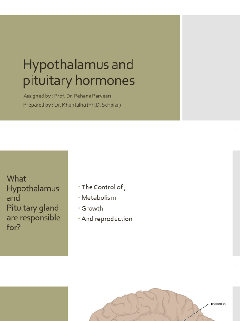 Hypothalamus And Pituitary Hormones Pdf