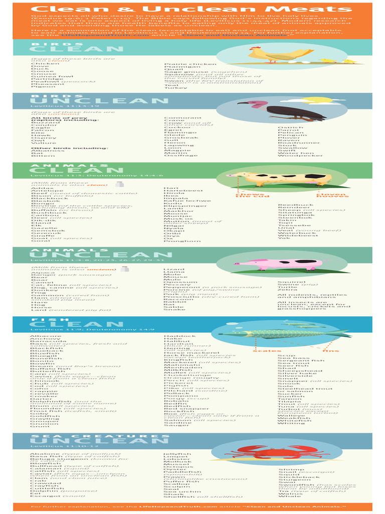 COG Meats Infographic Final | PDF | Birds | Pork