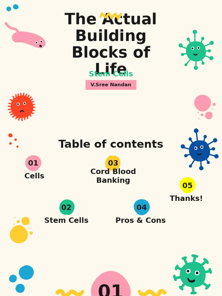 Stem Cells | PDF