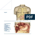 Chirurgie Gastrica