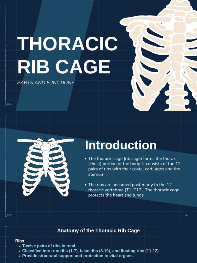 THORACIC | PDF