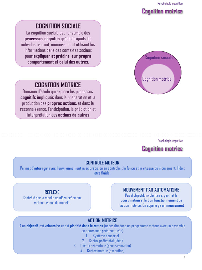 Fiches R. Cognitive Manera | PDF