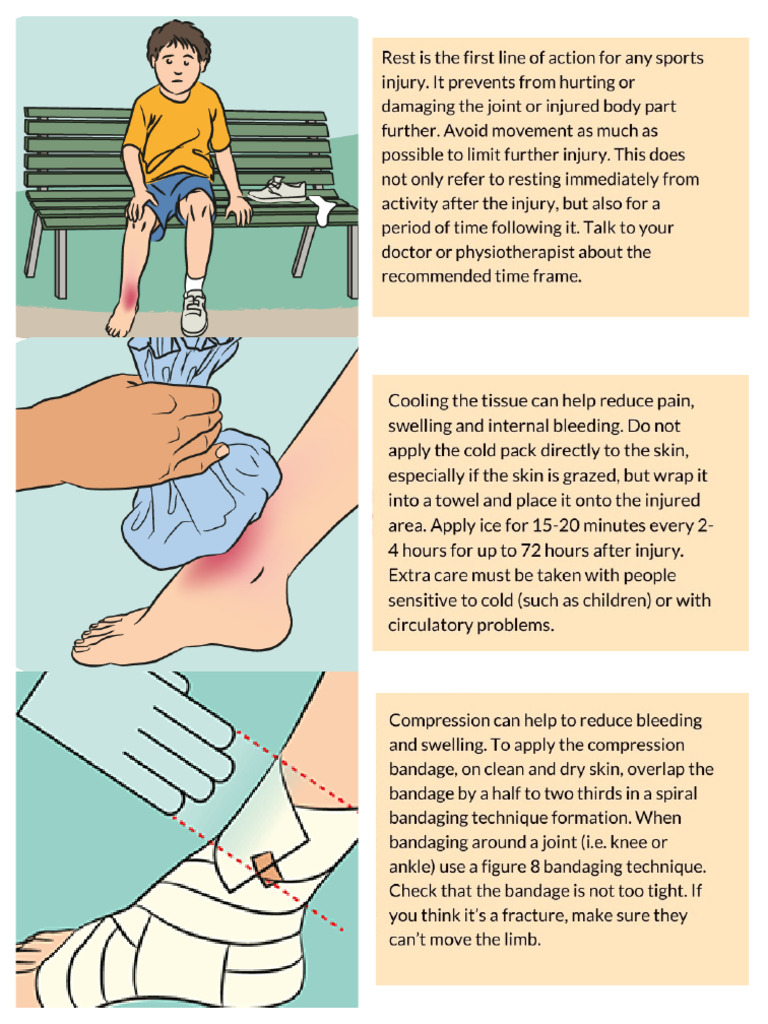 sports-injury-management-pdf