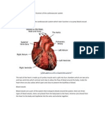Describe The Structure and Function of The Cardiovascular System