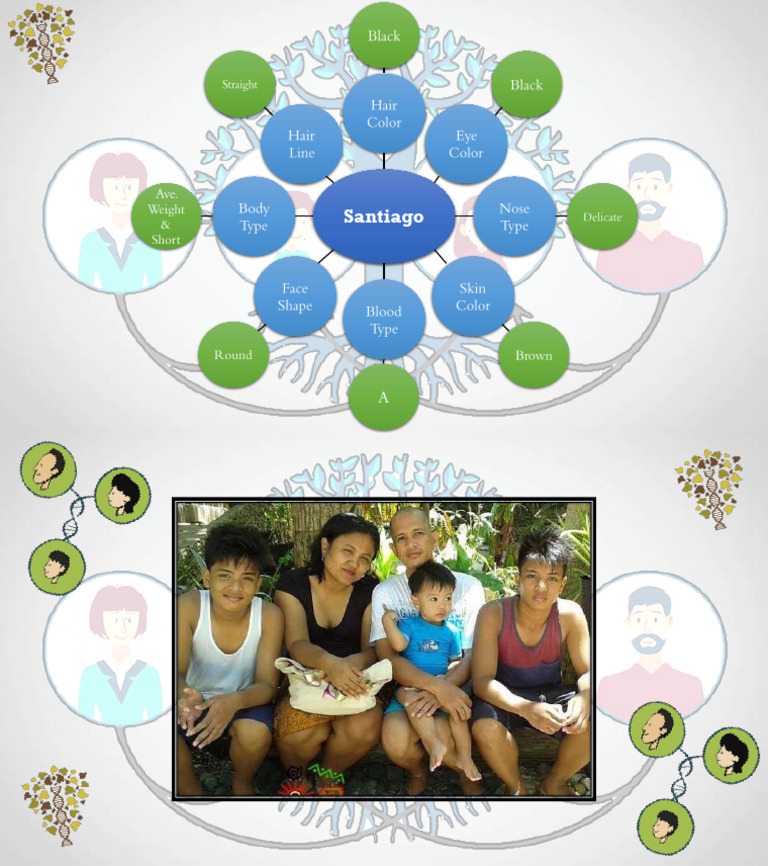 Miguel Santiago - Simple Cluster Diagram - Gen BIo 2 | PDF