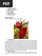 Download rosella by Fikria Nur R SN76010071 doc pdf